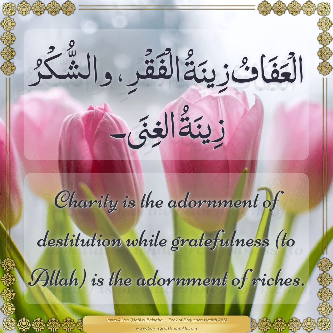 Charity is the adornment of destitution while gratefulness (to Allah) is...